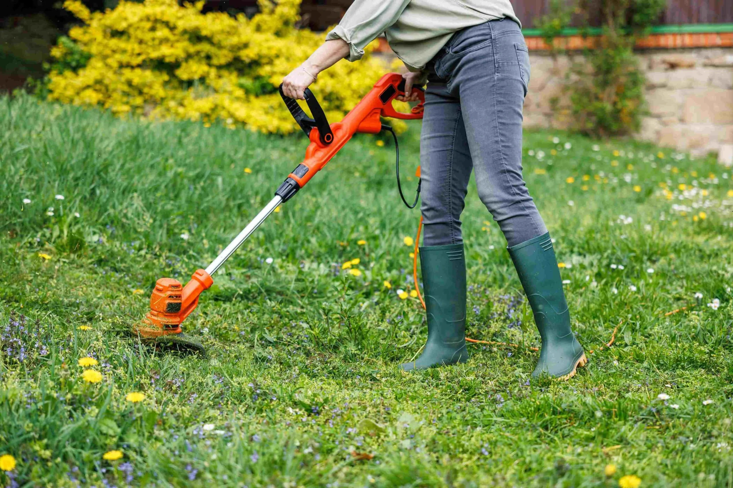 Garden Trimming Action Mclennan County Texas