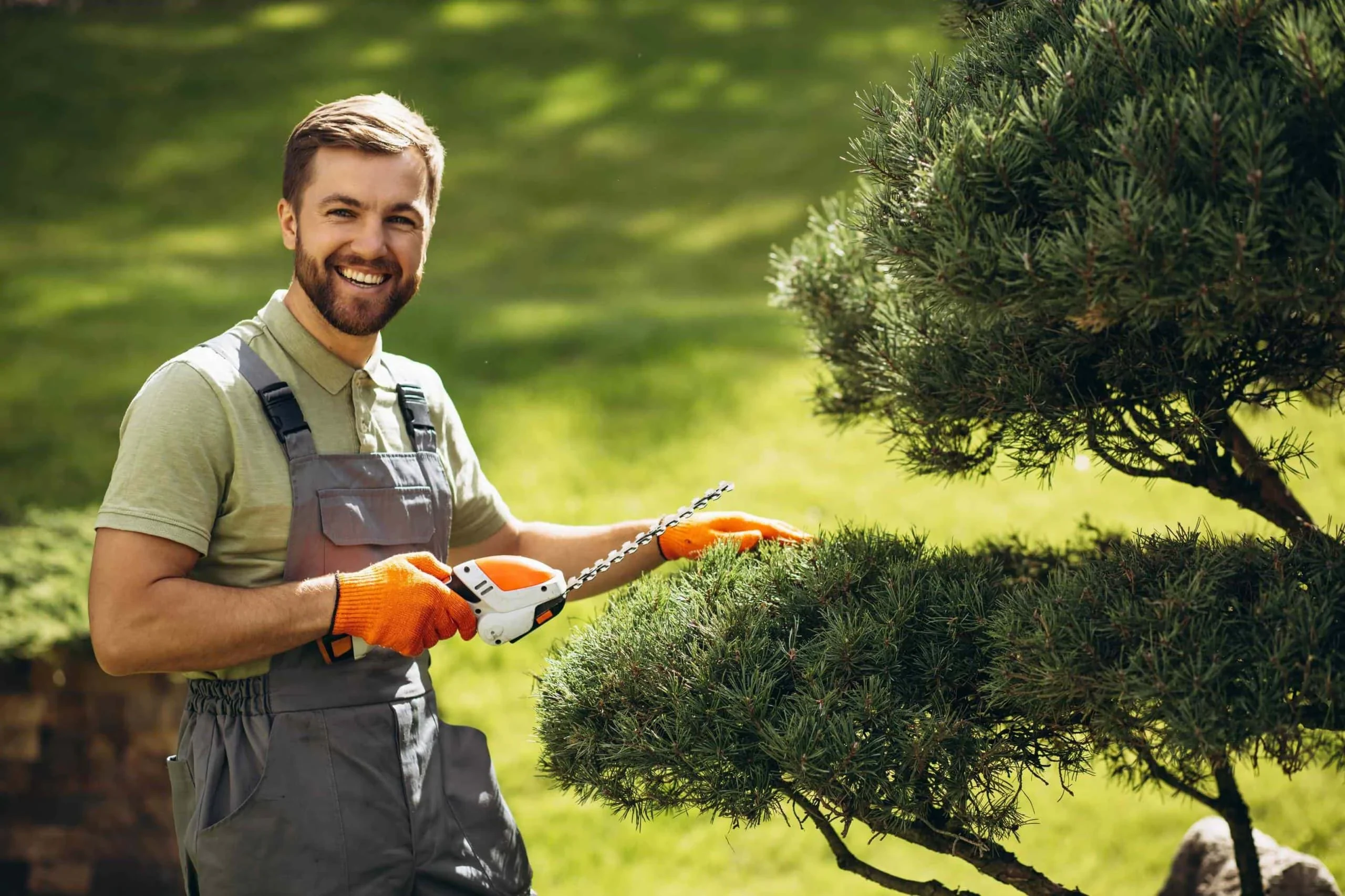 Gardener Trimming Bush Mclennan County Texas