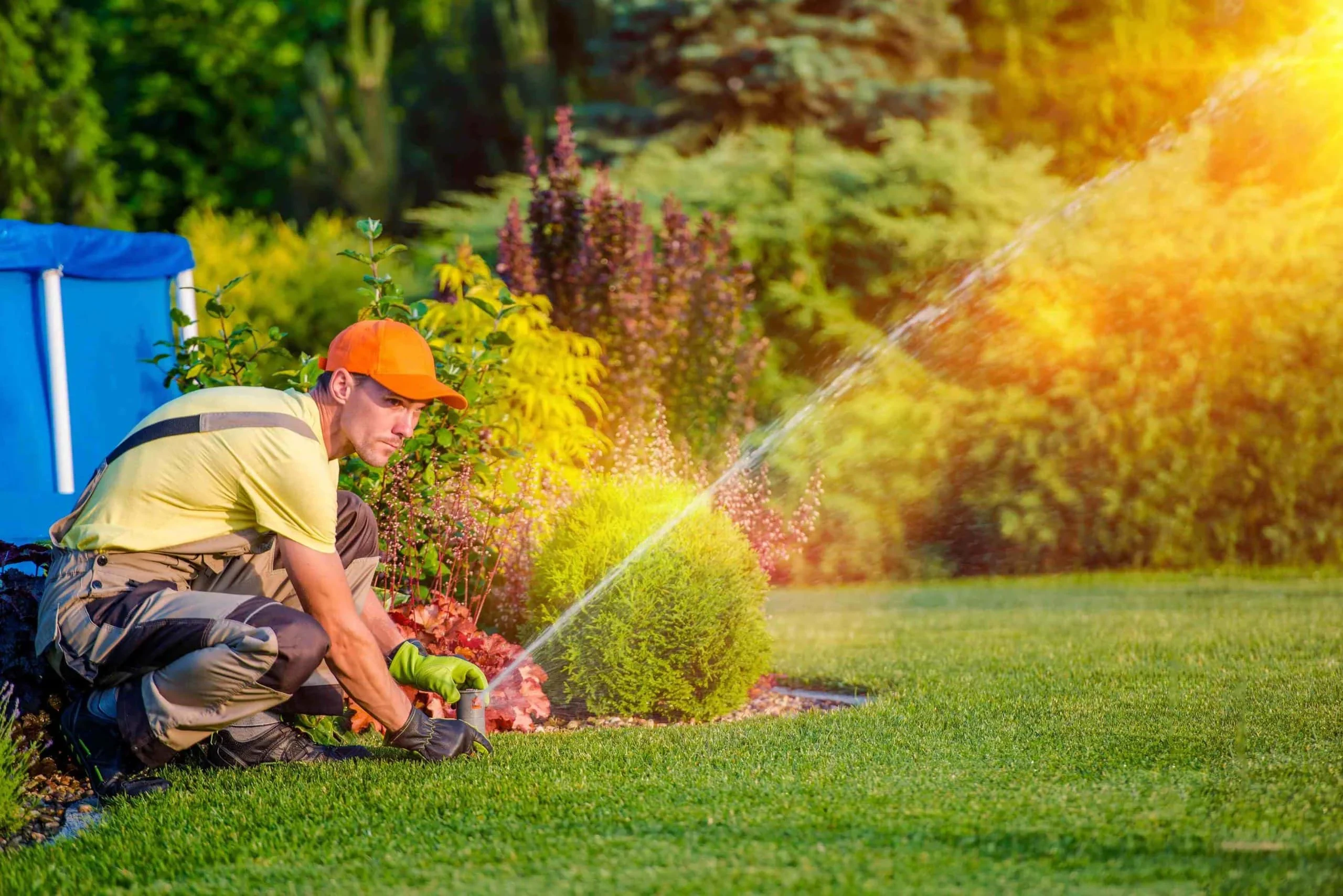 Gardener Watering Plants Sunny Mclennan County Texas
