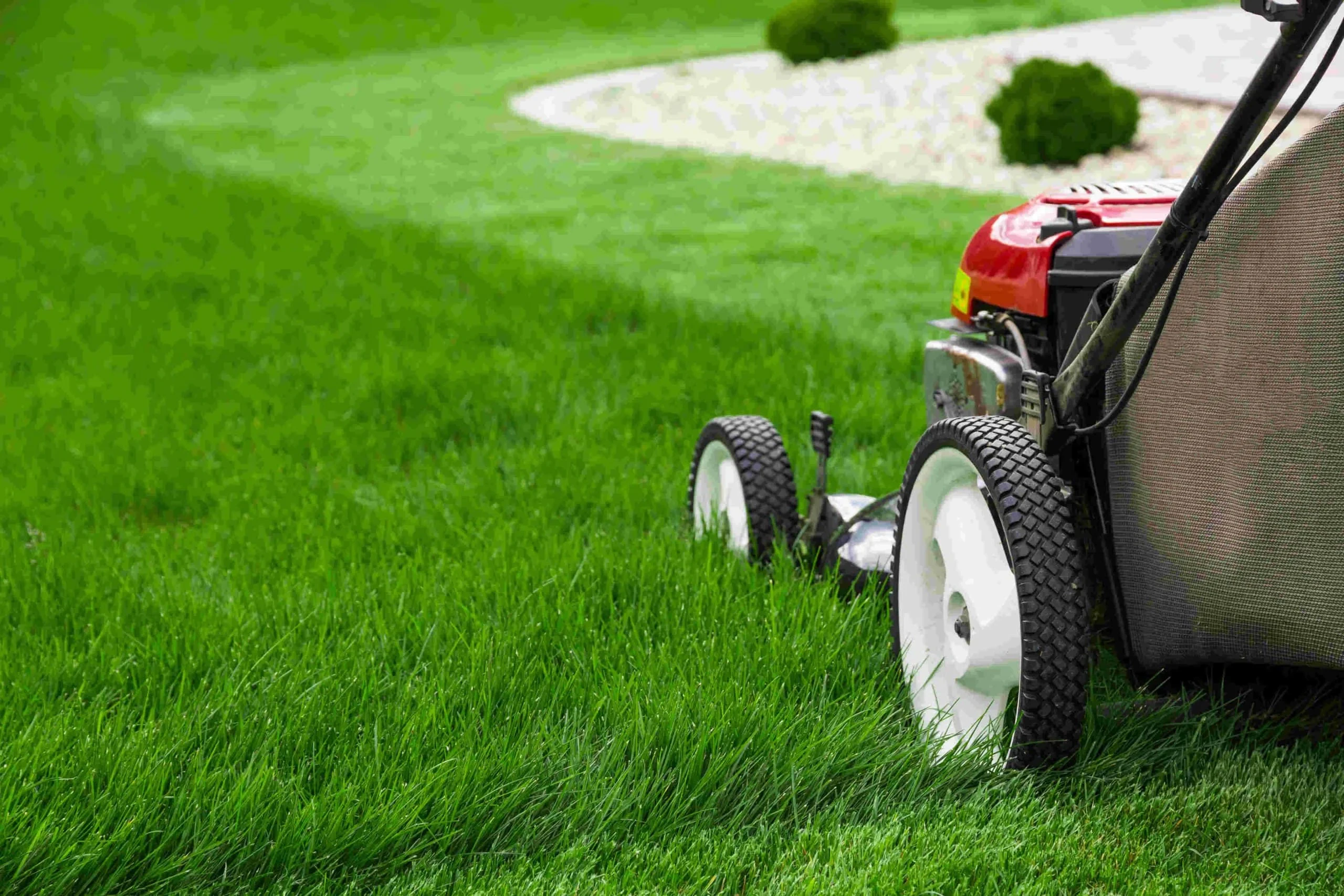 Lawnmower Cutting Tall Grass Mclennan County Texas