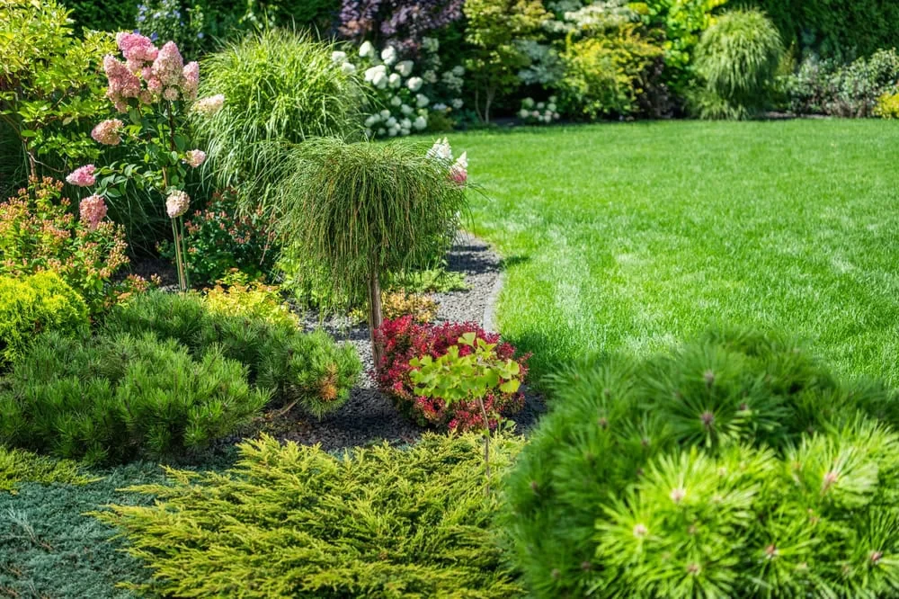 Lush Garden Landscaping Texas Mclennan County Texas