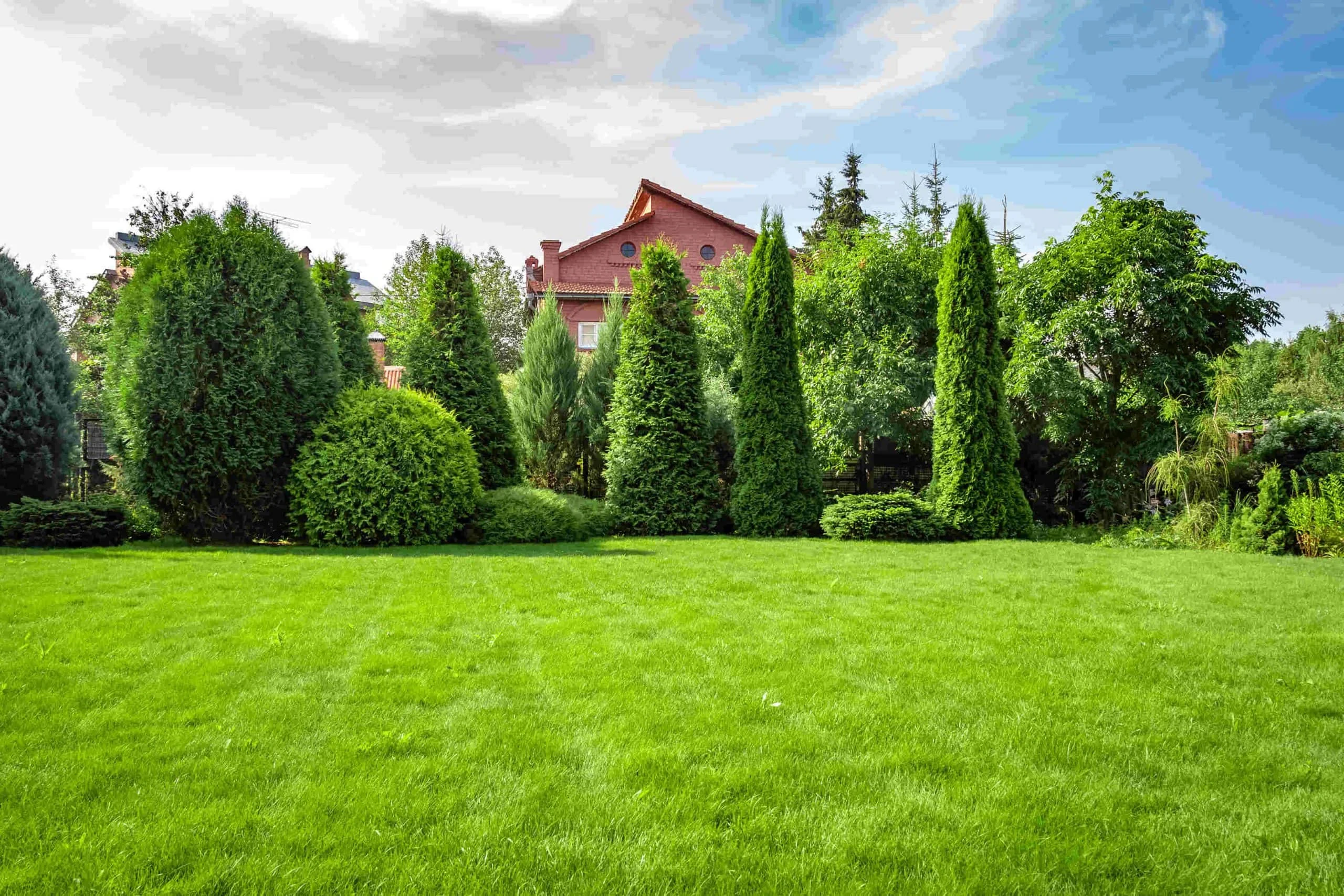 Lush Lawn Evergreen Trees Mclennan County Texas