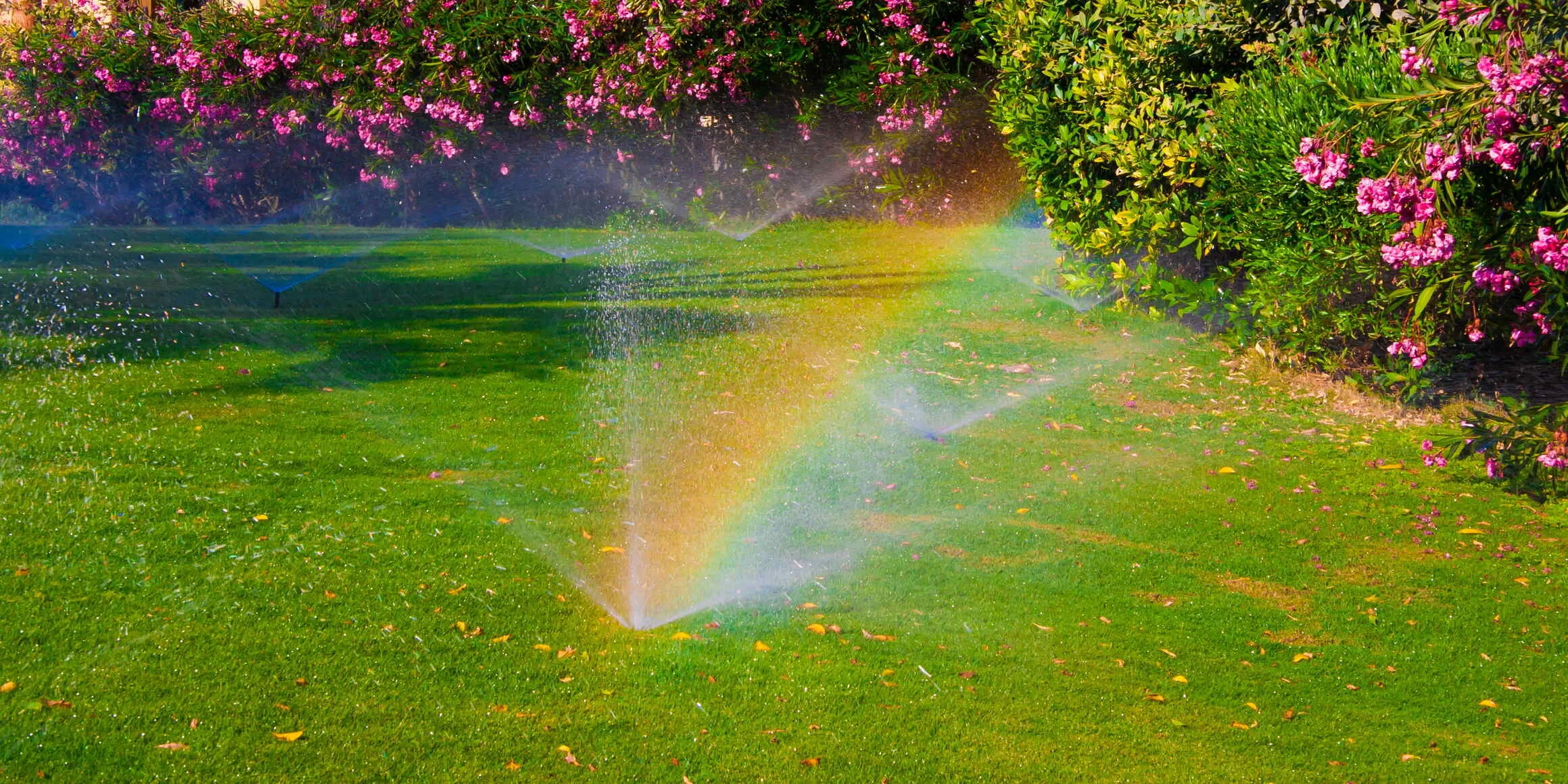 Rainbow Sprinkler Garden Scene Mclennan County Texas