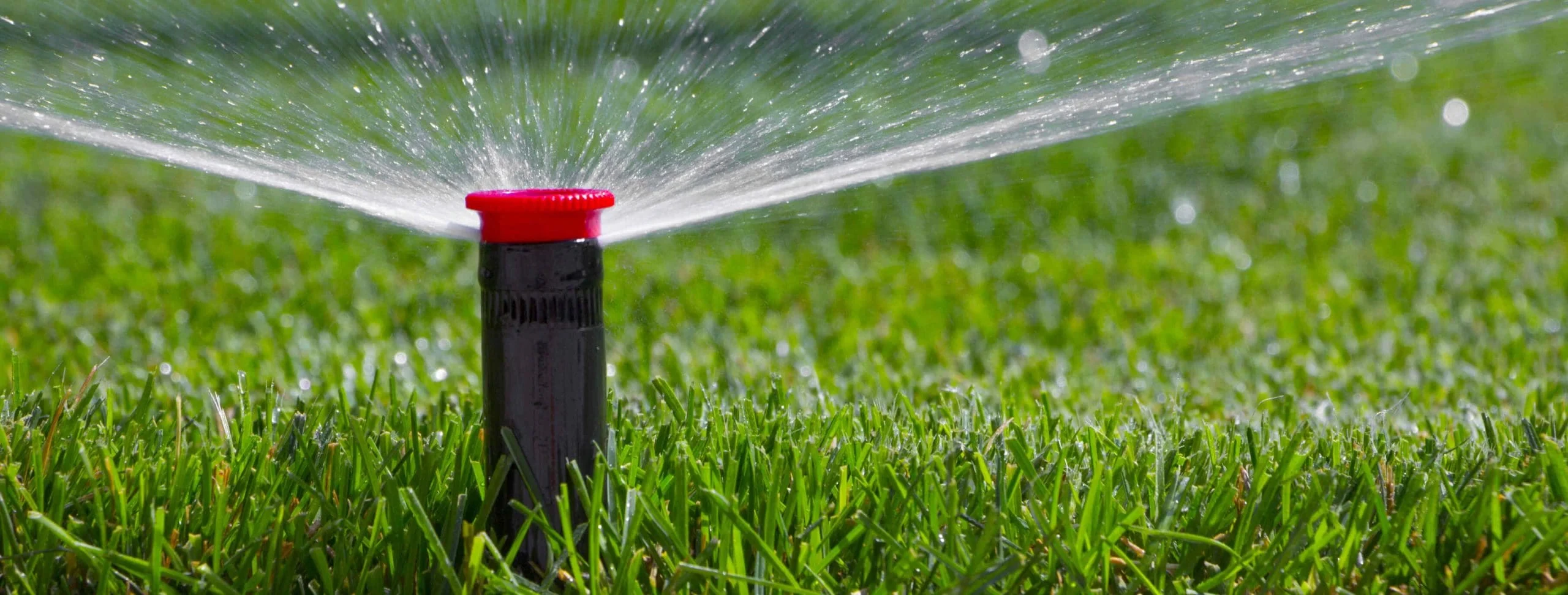 A close-up of a black lawn sprinkler with a red top sprays water in a wide circular pattern across green grass, showcasing the lush results possible with professional landscaping services in Waco, TX.
