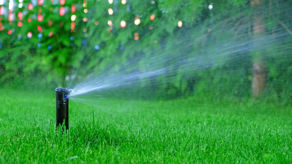 Sprinkler Watering Green Grass Mclennan County Texas_1