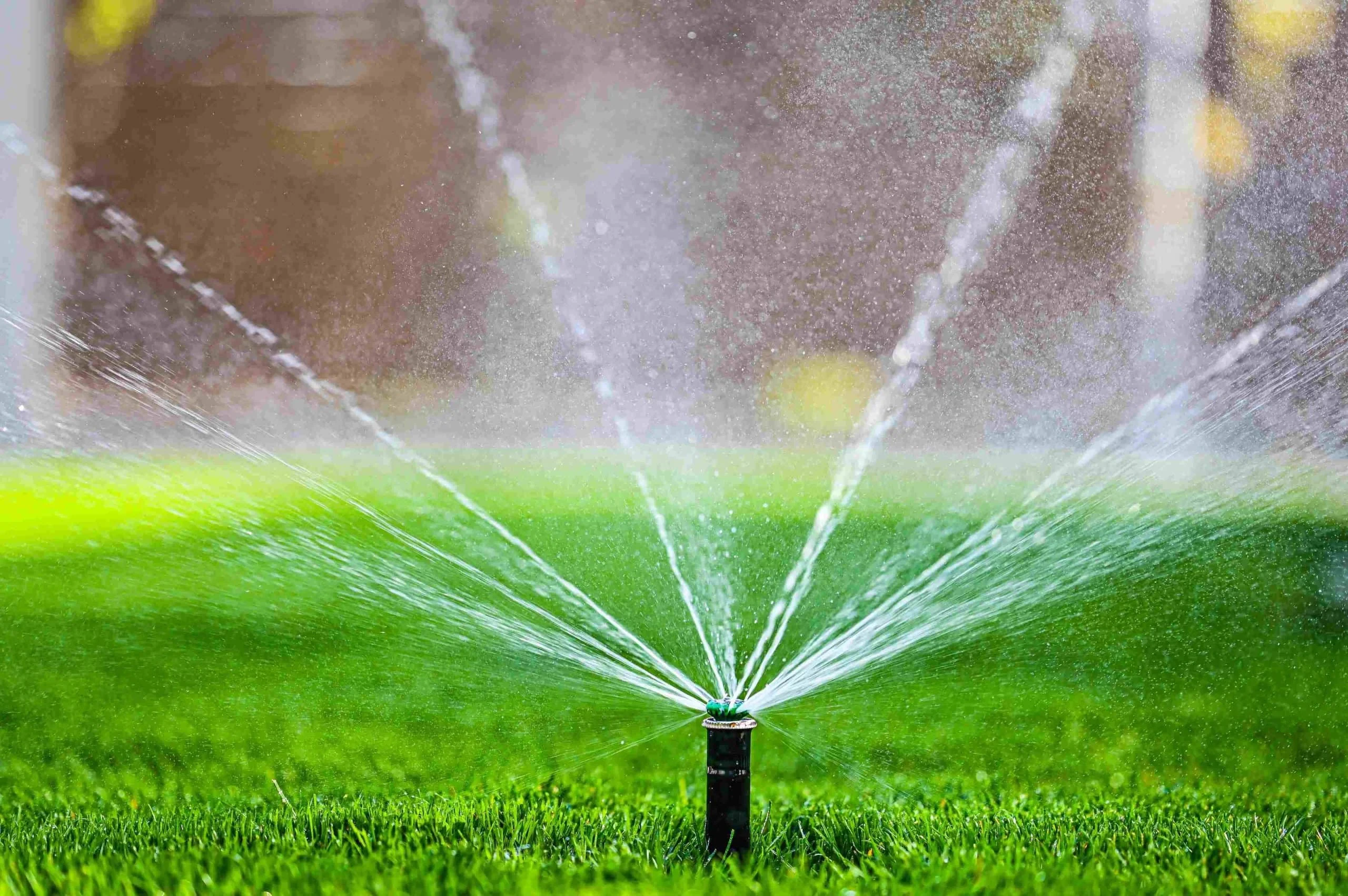 Sprinkler Watering Lawn Mclennan County Texas_1