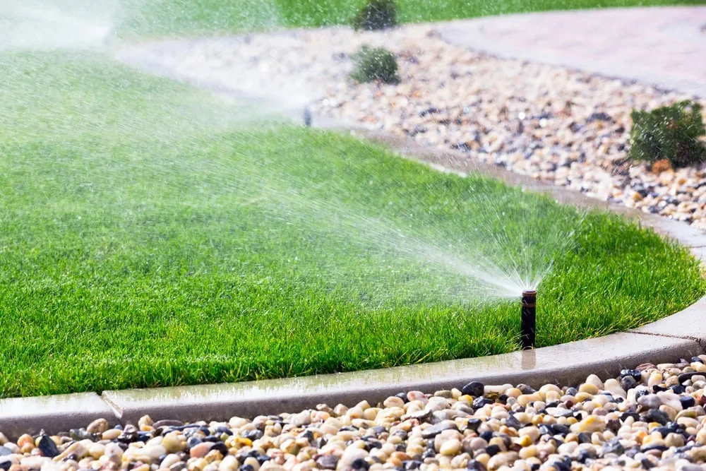 Sprinkler Watering Lawn Pathway Mclennan County Texas