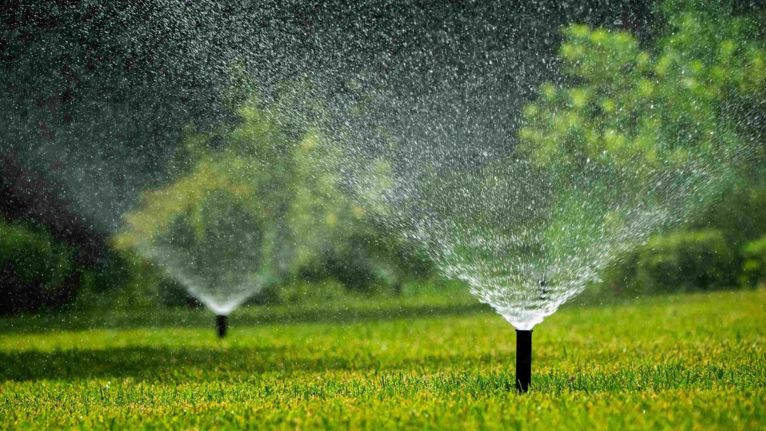 Sprinklers Misty Greenery Mclennan County Texas