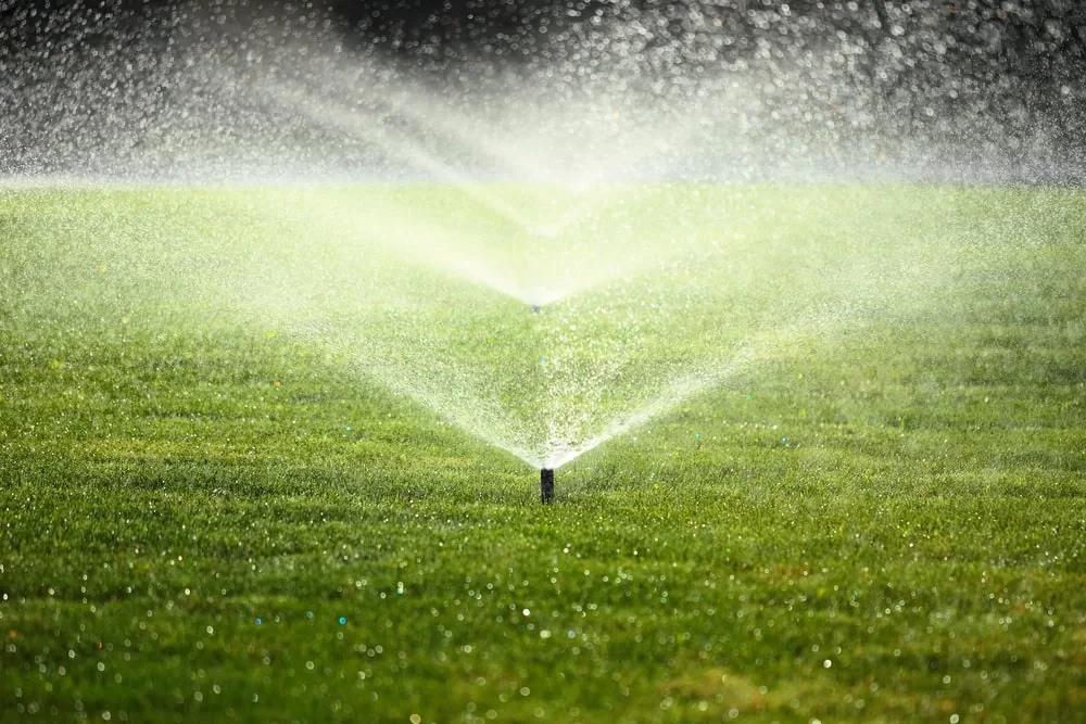 Sprinklers Watering Green Lawn Mclennan County Texas_3