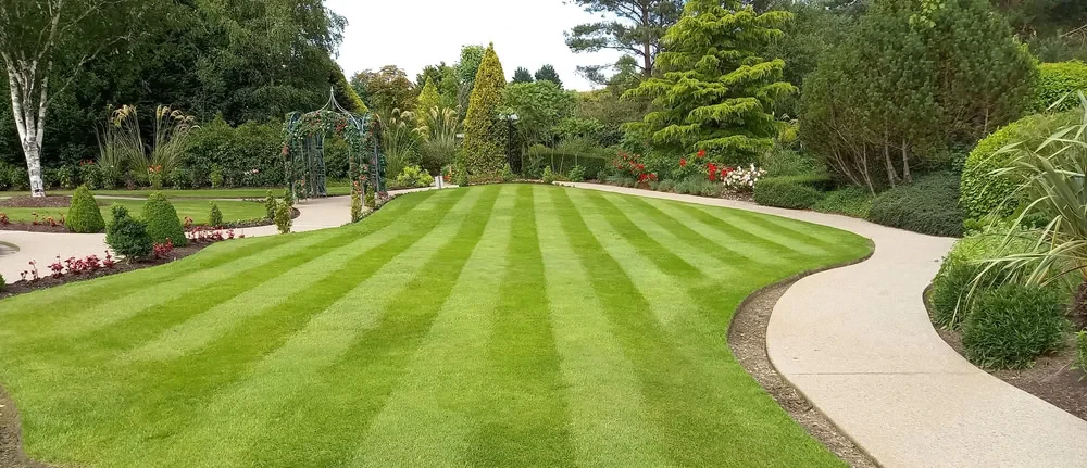 Striped Lawn Garden Pathways Mclennan County Texas
