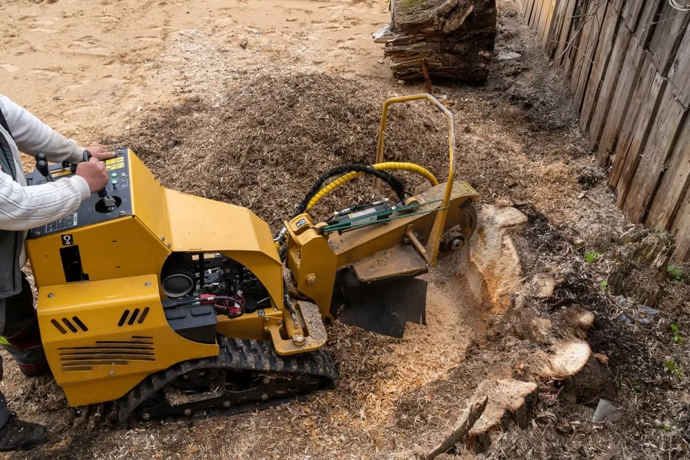 Stump Grinder Professional Action Mclennan County Texas