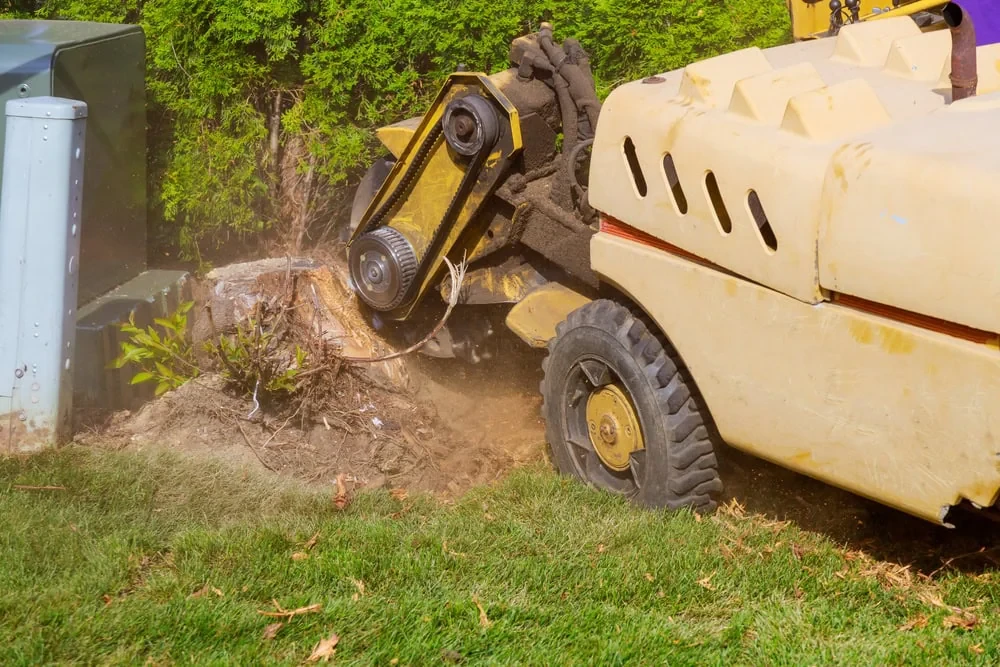Stump Grinding Machine Lawn Mclennan County Texas