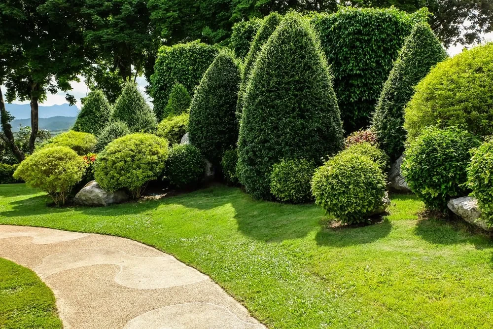 Texas Garden Landscape Mclennan County Texas