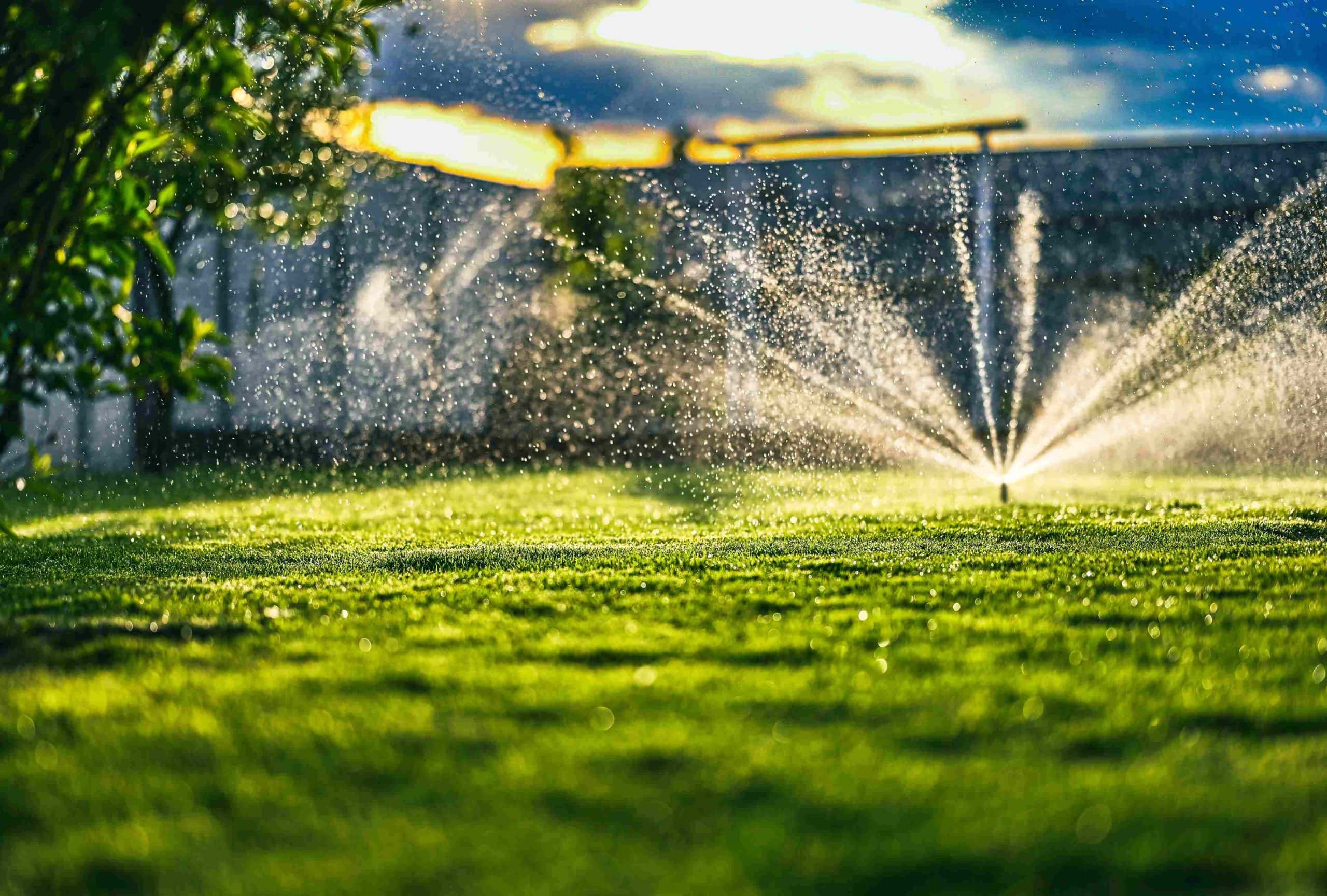 A garden sprinkler sprays water droplets over a lush green lawn, with sunlight shining through and creating a sparkling effect—showcasing the quality of landscaping services Waco, TX, with a tree and fence visible in the background.