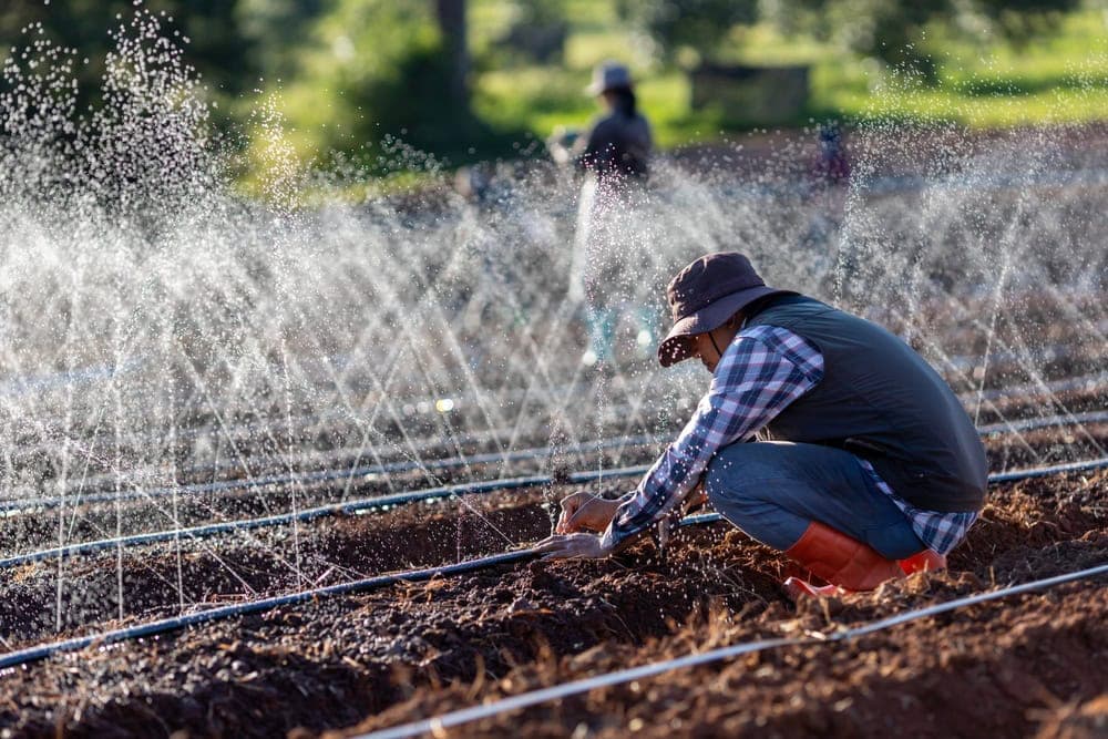 A person wearing a hat, plaid shirt, and boots kneels on soil to tend to irrigation pipes in a TX field, with water spraying from sprinklers—showcasing quality landscaping services Waco—with another person blurred in the background.