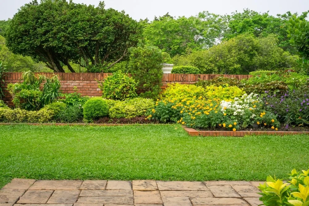 Lush Backyard Garden Landscape Mclennan County Texas