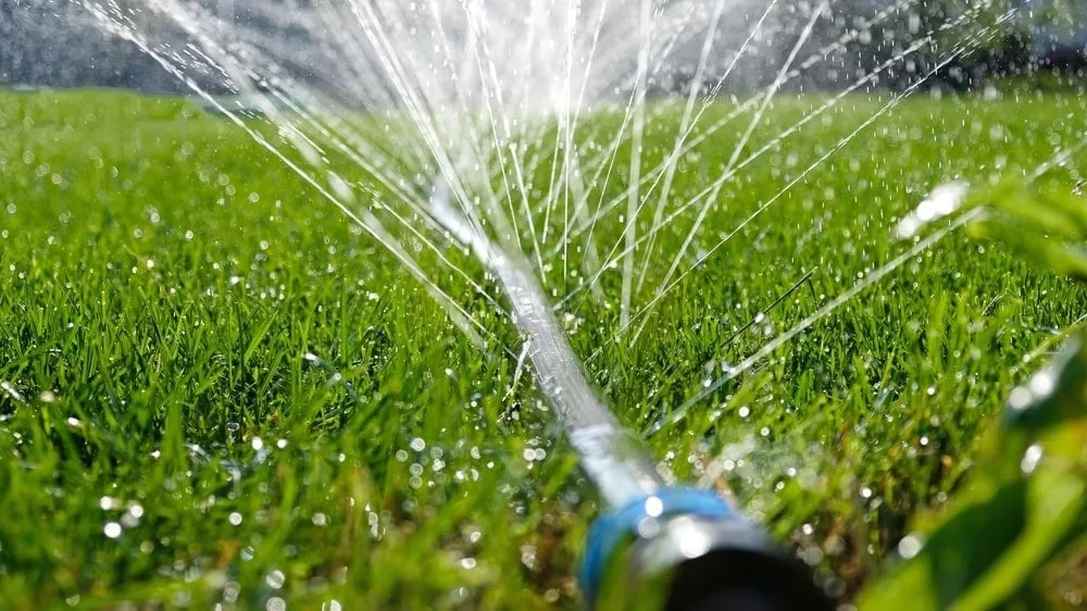 Sprinkler Watering Lawn Mclennan County Texas