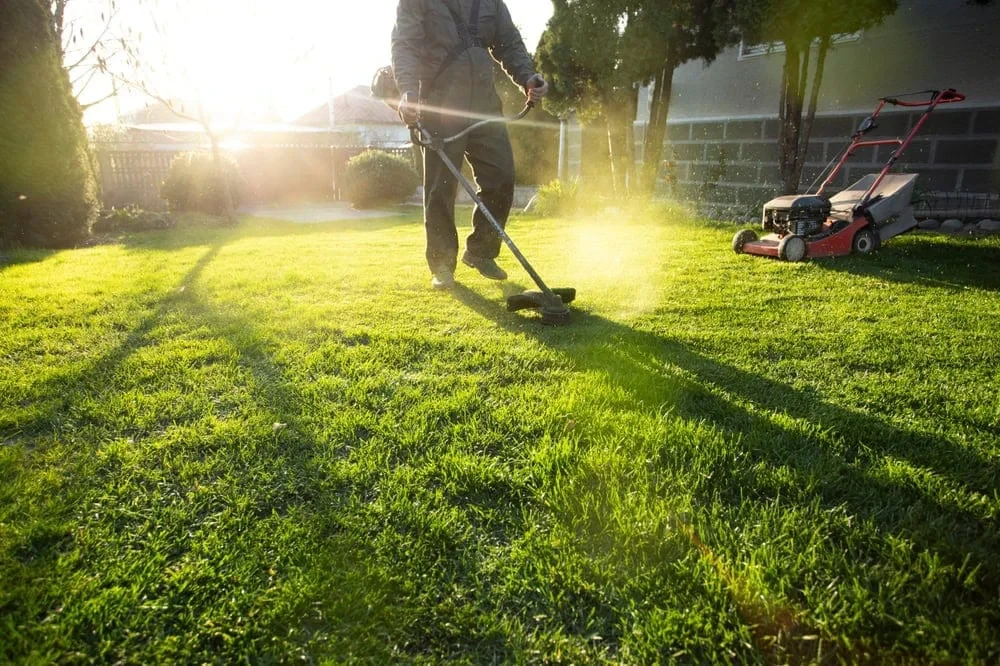 Trimming Grass Sunlit Yard Mclennan County Texas